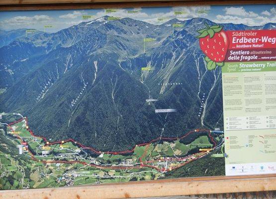 Grafika 44: Południowy Tyrol 2013