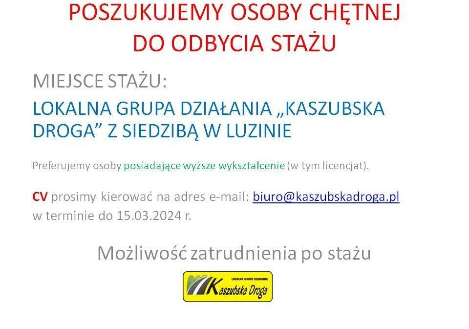 poszukujemy stażysty