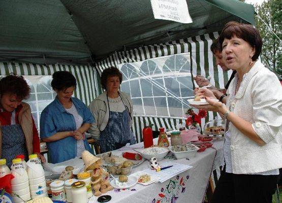 Grafika 6: Jarmark 2009