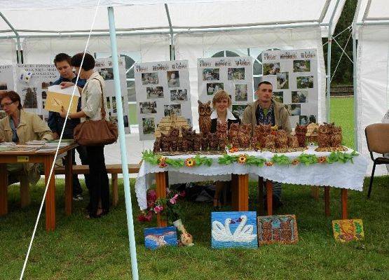 Grafika 12: Jarmark 2009