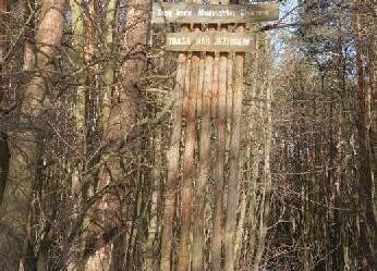 Grafika 33: Starbienino marzec 2010