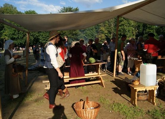 Grafika 4: Plener historyczny 2011