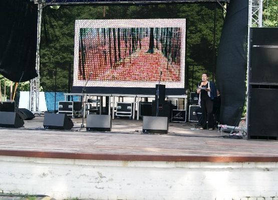 Grafika 9: Plener historyczny 2011