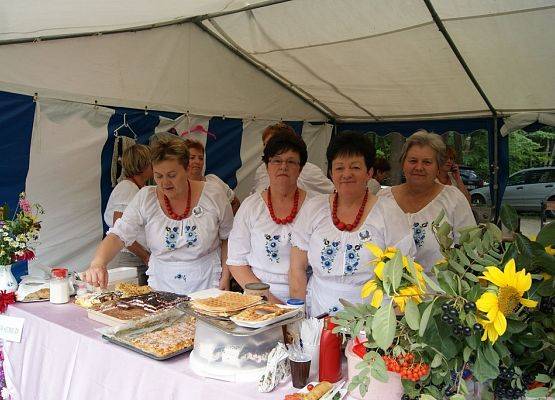 Grafika 15: Piknik historyczny - Wejherowo 2013