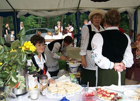 Grafika 54: Piknik historyczny - Wejherowo 2013