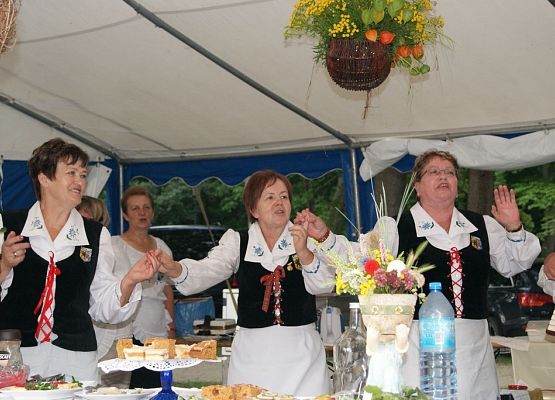 Grafika 111: Piknik historyczny - Wejherowo 2013