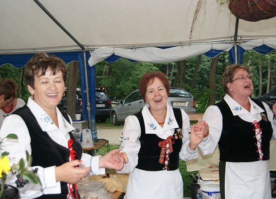 Grafika 114: Piknik historyczny - Wejherowo 2013