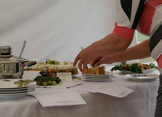 Grafika 35: V Festiwal Kultury Kaszubskiej