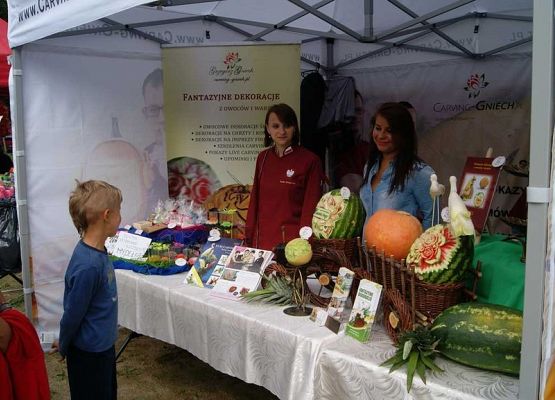 Grafika 29: Piknik historyczny 2014