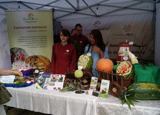 Grafika 30: Piknik historyczny 2014