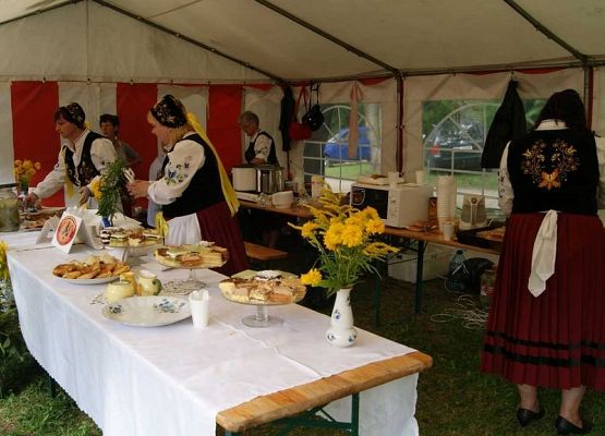 Grafika 43: Piknik historyczny 2014