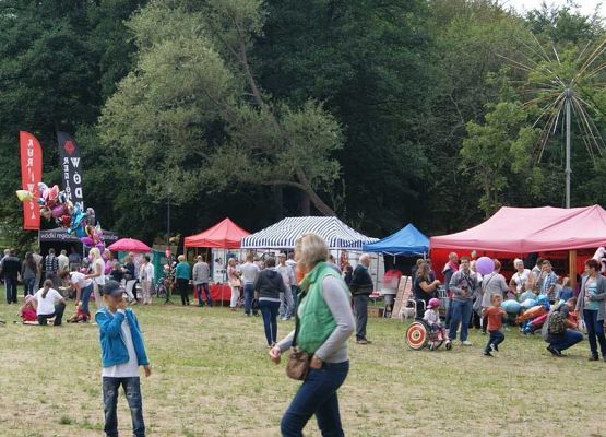 Grafika 48: Piknik historyczny 2014