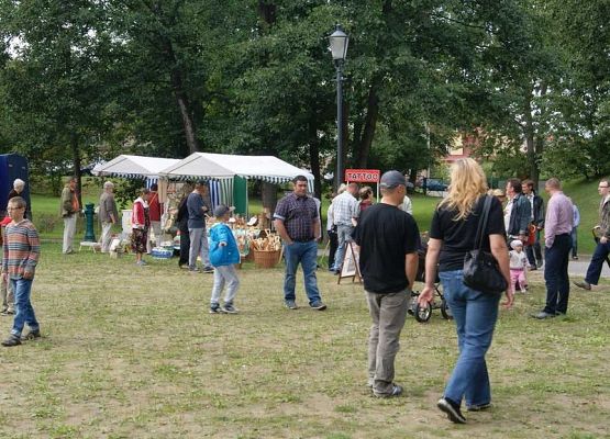 Grafika 49: Piknik historyczny 2014