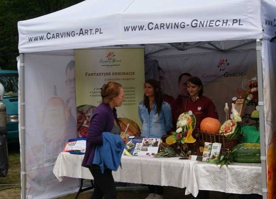 Grafika 50: Piknik historyczny 2014