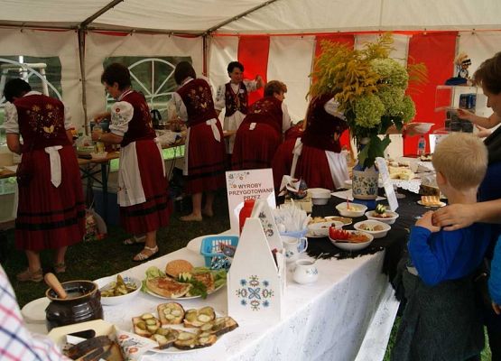 Grafika 55: Piknik historyczny 2014