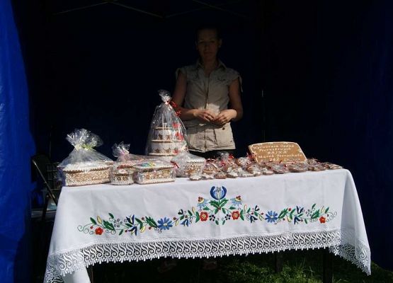 Grafika 75: Piknik historyczny 2014