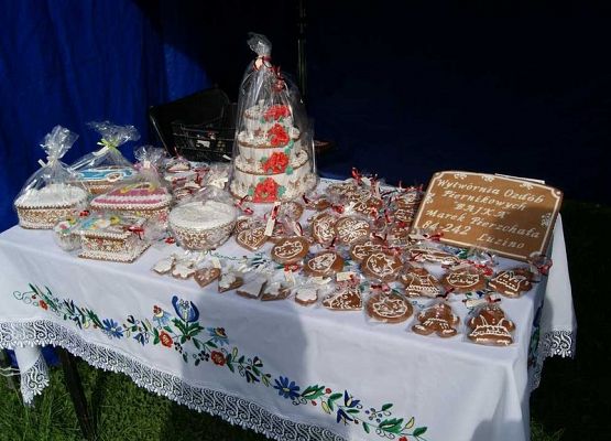 Grafika 82: Piknik historyczny 2014