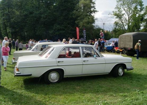 Grafika 84: Piknik historyczny 2014