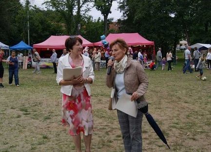 Grafika 105: Piknik historyczny 2014