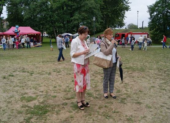 Grafika 107: Piknik historyczny 2014