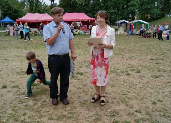 Grafika 108: Piknik historyczny 2014