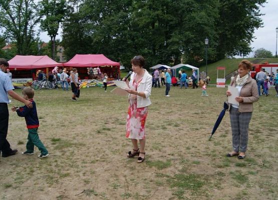 Grafika 110: Piknik historyczny 2014