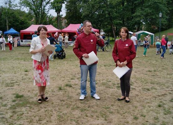 Grafika 114: Piknik historyczny 2014