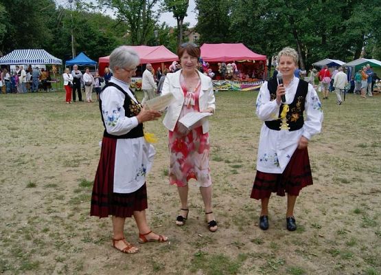 Grafika 119: Piknik historyczny 2014
