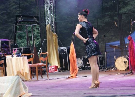 Grafika 148: Piknik historyczny 2014