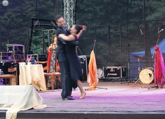 Grafika 151: Piknik historyczny 2014