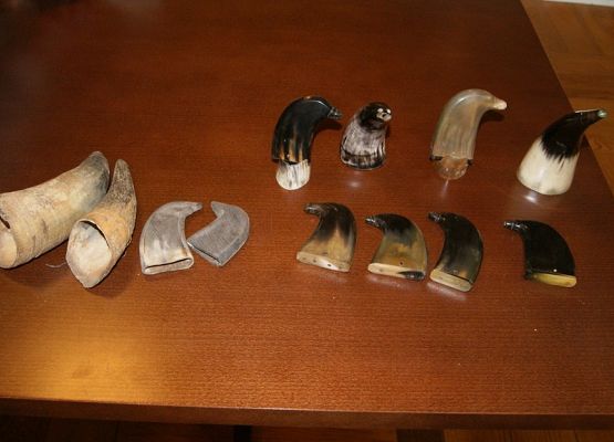 Grafika 11: II finał marki lokalnej